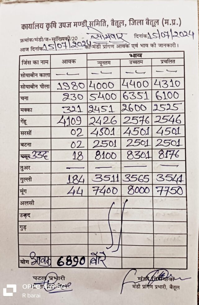 Today Betul Mandi Bhav : कृषि उपज मंडी बैतूल में आज 15 जुलाई 2024 के भाव
