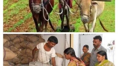 MP News : किसानों को बोनस के लिए एक हजार करोड़ का प्रावधान, सेल्समैनों का वेतन भी बढ़ेगा
