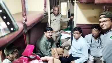 बेमिसाल... बाघिन के घायल शावकों को लाने चली विशेष ट्रेन