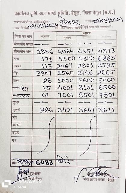 Today Betul Mandi Bhav : कृषि उपज मंडी बैतूल में 09 सितम्बर 2024 के भाव