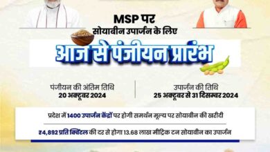 Soyabeen Kharidi 2024 : प्रदेश में 1400 केंद्रों पर होगी सोयाबीन खरीदी, पंजीयन शुरू