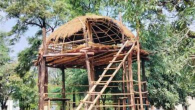 Kukaru Khamla : प्रकृति के सौंदर्य का दर्शन कराता है मिनी कश्मीर कुकरू