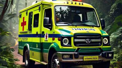 Betul News : जंगल में एंबुलेंस रोककर गर्भवती महिला से मांगे रुपये, बीएमओ से शिकायत