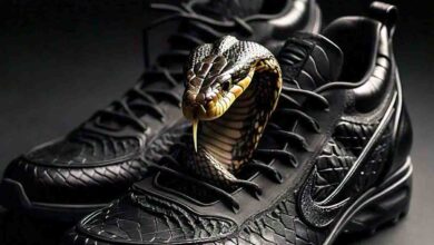 Cobra ka video : जूते में छिपकर बैठा था खतरनाक कोबरा, शुक्र था नजर पड़ गई