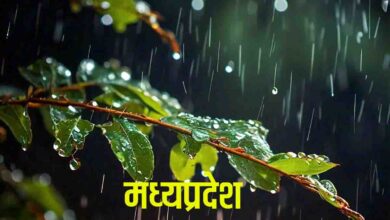 Heavy Rain Alert : चार जिलों में भारी बारिश का अलर्ट, किसानों को दी यह सलाह