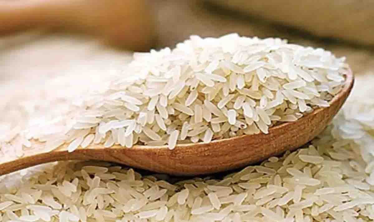 Updated Rice fortified rice : बड़े गुणकारी हैं राशन दुकानों से फ्री मिल रहे चावल और ...