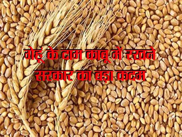 Gehun Ki Stock Limit : गेहूं के दाम काबू में रखने सरकार का बड़ा कदम, घटाई स्टॉक सीमा