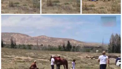 Baaz Ka Video : मैदान में खड़ी बच्ची पर ही झपट्टा मार बैठा बाज, और फिर...