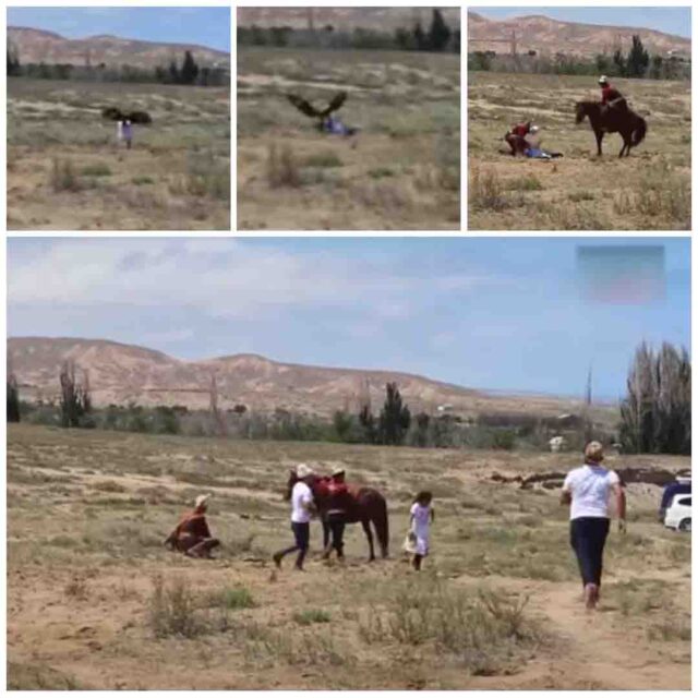 Baaz Ka Video : मैदान में खड़ी बच्ची पर ही झपट्टा मार बैठा बाज, और फिर...