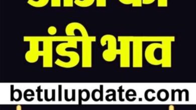 Today Betul Mandi Bhav : बैतूल मंडी में आज 16 नवंबर 2024 के भाव और आवक की स्थिति