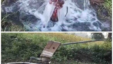 Miracle of nature : प्रकृति दिखा रही चमत्कार, खुद ही पानी उगल रहे बोरवेल और हैंडपंप