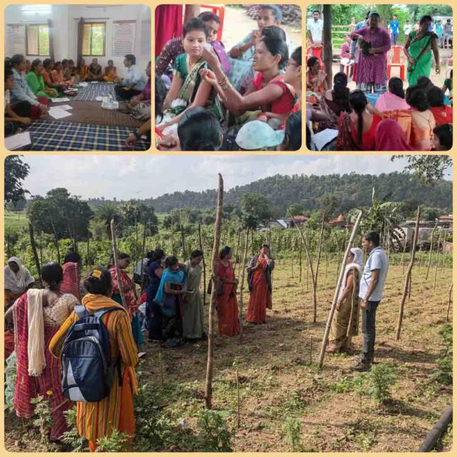 Lakhpati Didi Yojana : पांच हजार महिलाएं इस साल बनेंगी लखपति दीदी