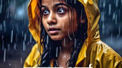 MP Weather Alert : अगले कुछ घंटों में इन जिलों में भारी बारिश का अलर्ट