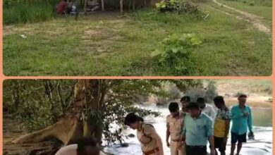 Crime File : बैतूल में डबल मर्डर, दो बुजुर्गों की कुल्हाड़ी मारकर हत्या