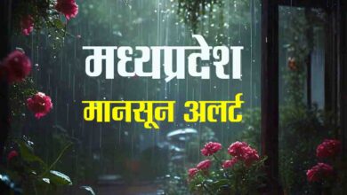 MP Rain Alert : अगले चार दिनों तक कई जिलों में झमाझम बारिश का अलर्ट
