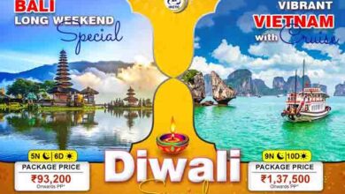 Tour Package : दिवाली पर लग्जरी क्रूज से बाली या वियतनाम की करें सैर