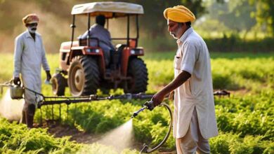 Farmer News MP : मध्यप्रदेश को इतनी मिली खाद, सीएम ने की और मांग