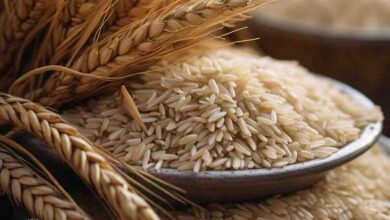 Food Production 2024 : इस साल चावल और गेहूं का होगा रिकॉर्ड उत्पादन