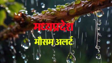 MP IMD Alert : एमपी के कई जिलों में गरज-चमक के साथ होगी बारिश