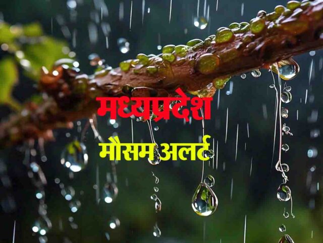 MP IMD Alert : एमपी के कई जिलों में गरज-चमक के साथ होगी बारिश