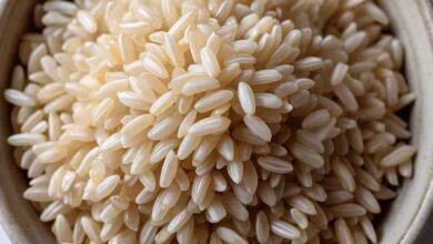 Big Breaking : राशन दुकानों से वर्ष 2028 तक फ्री मिलेगा फोर्टिफाइड चावल