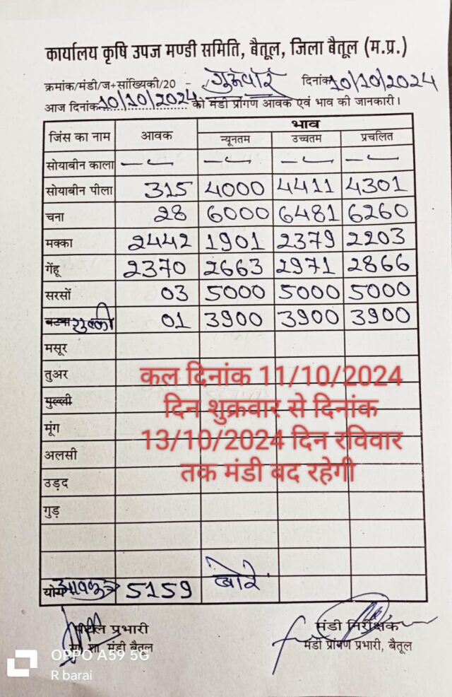 Today Betul Mandi Bhav : बैतूल मंडी में आज 10 अक्टूबर 2024 के भाव