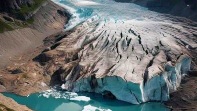 मानसून 2024: कहीं भारी बारिश, कहीं सूखे के हालात, क्या है इसकी वजह