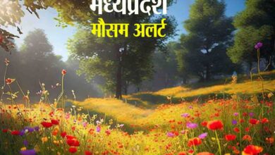 Weather Update : एमपी में खुल रहा मौसम, आज नहीं कोई अलर्ट