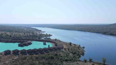 गांधीसागर फॉरेस्ट रिट्रीट में ऑल सीजन टेंट सिटी की बुकिंग शुरू