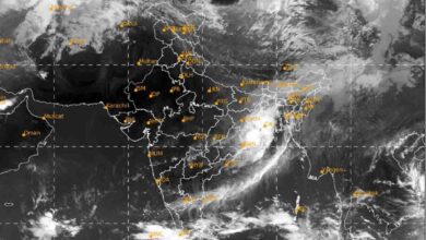 Weather Update : दाना तूफान के कारण लैंडफॉल शुरू, यहां होगी भारी बारिश