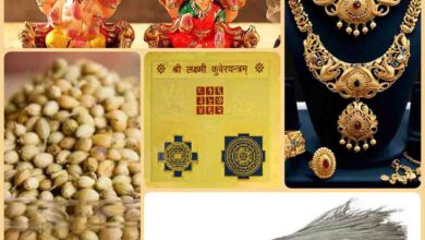 Dhanteras par kya khariden : धनतेरस पर खरीदें यह चीजें, घर में बनी रहेगी बरकत