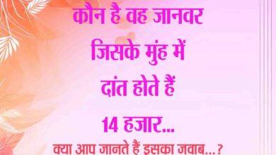 GK Question : बताओं उस जानवर का नाम... जिसके दांत होते हैं 14 हजार...