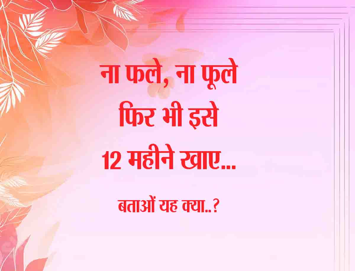 Intresting GK Question : ना फले, ना फूले, फिर भी इसे 12 महीने खाए... बताओं यह क्या