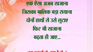 GK Questions : कौनसा जानवर सोता है उल्टा... क्या आप जानते हैं जवाब...