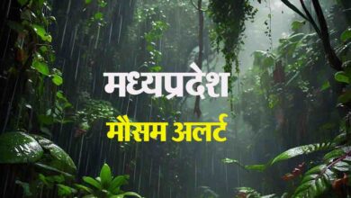 IMD Alert MP : मौसम ने दिखाया रौद्र रूप, कल भी ऐसा ही रहेगा मिजाज