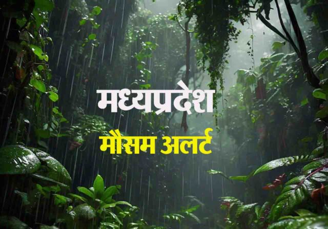 IMD Alert MP : मौसम ने दिखाया रौद्र रूप, कल भी ऐसा ही रहेगा मिजाज