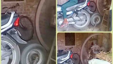 Jugaad Video : बिजली लगी न डीजल, जुगाड़ से चला दी चारा कटिंग मशीन