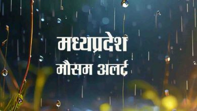 MP IMD Alert : अगले 24 घंटों में इन 14 जिलों में बारिश की संभावना