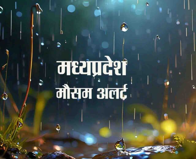 MP IMD Alert : अगले 24 घंटों में इन 14 जिलों में बारिश की संभावना