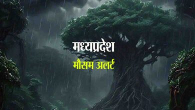 Heavy Rain Red Alert in MP: तीन नहीं अब इन 4 जिलों के लिए भीषण बारिश का रेड अलर्ट
