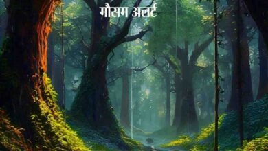 MP News : अगले कुछ घंटों में प्रदेश के 30 जिलों में बारिश की संभावना