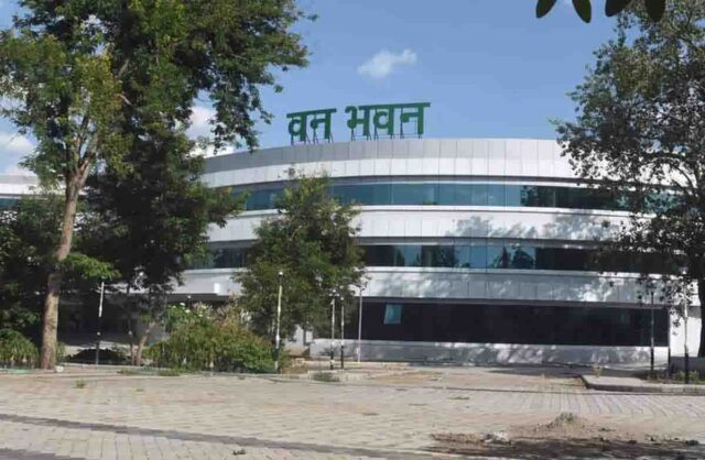 MP Forest News : एमपी में वनकर्मियों से वसूली फिलहाल टली