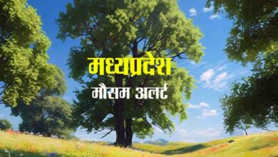 MP Weather Update : अमरकंटक सहित कई शहरों में तापमान में गिरावट