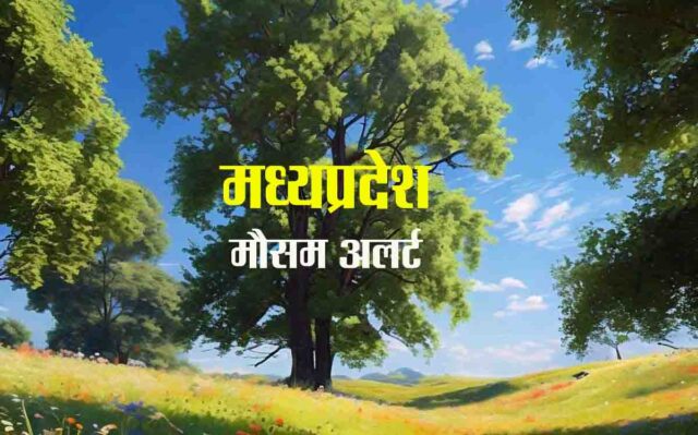 MP Weather Update : अमरकंटक सहित कई शहरों में तापमान में गिरावट 