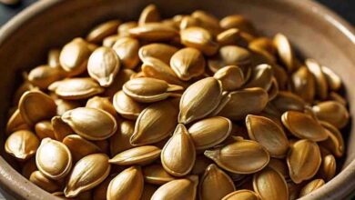 Health News : सेहत के लिए सुपरफूड होते हैं कद्दू के बीज, ऐसे ही ना फेंके इन्हें : डॉ. नवीन वागद्रे