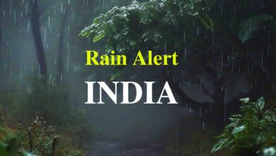 Rain Alert India : अगले 3 दिनों कुछ राज्यों में छाएगा घना कोहरा तो कहीं होगी भारी बारिश