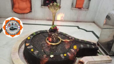 Ardhanarishwar Jyotirlinga : मोहगांव हवेली में है द्वापरकालीन अर्धनारिश्वर ज्योर्तिलिंग, पांडवों ने की थी स्थापना