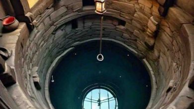 Betul News Today : बैतूल में कुएं में मिले मां-बेटा के शव, जांच में जुटी पुलिस