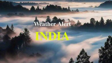 Weather Update : उत्तर भारत में घने कोहरे का तो दक्षिण में बारिश का बरपेगा कहर, अलर्ट जारी