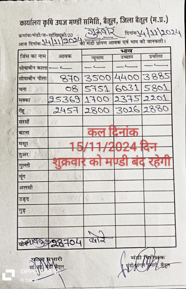 Today Betul Mandi Bhav : बैतूल मंडी में आज 14 नवंबर 2024 के भाव